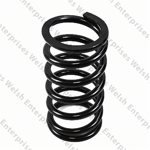 Jaguar Non-Leveling Suspension Rear Spring (Set)