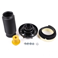 Jaguar Spring Damper
