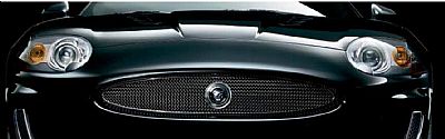 Mesh-Grille (Jaguar OEM) C2P17353OEM