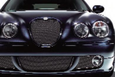 Grille-Radiator (Jaguar OEM) XR854196OEM