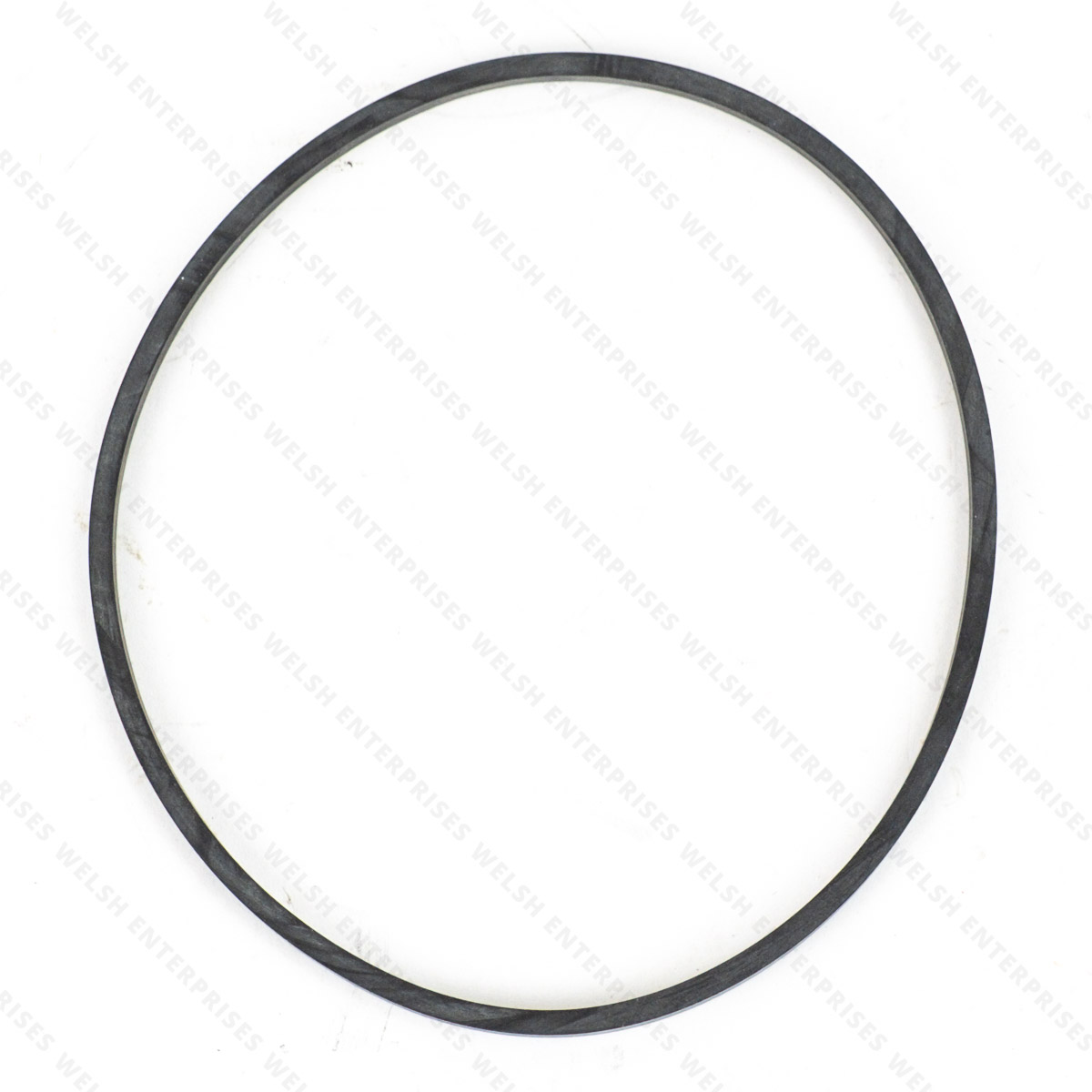 Jaguar Ring Sealing Oil Filter V12