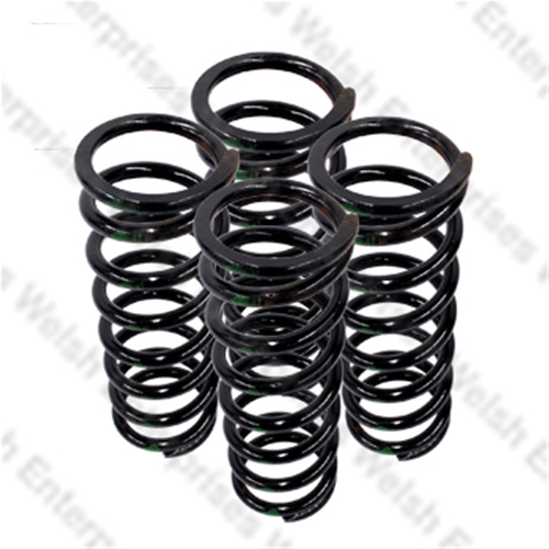 Jaguar Rear Road Spring Set Of 4