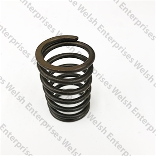 Jaguar Spring Valve