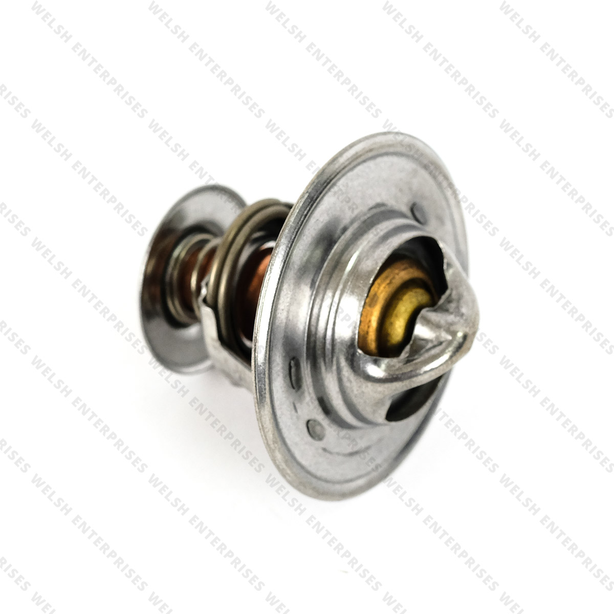 Jaguar Thermostat