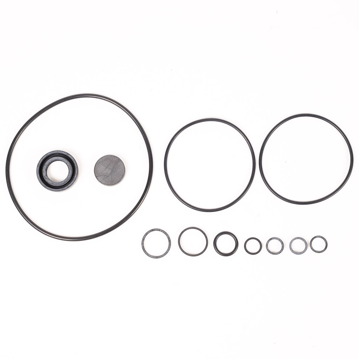 Jaguar Pas Pump Kit E3