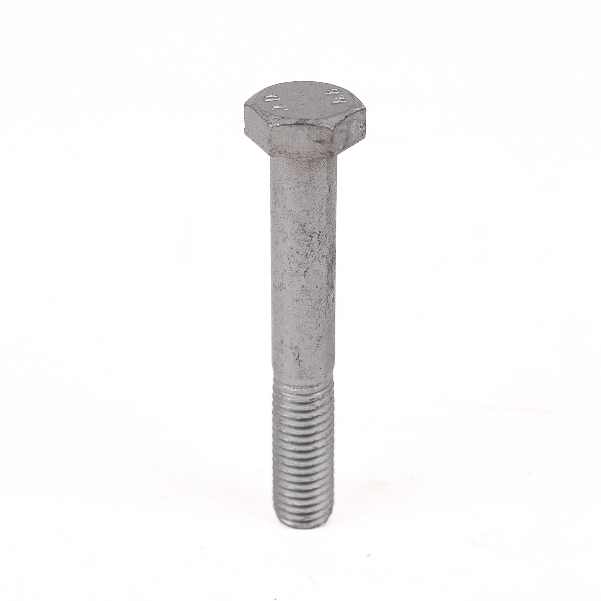 Jaguar Bolt