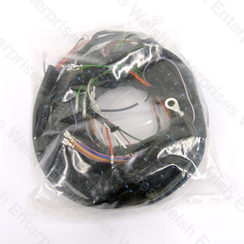 Jaguar Main Engine Harness 4.2