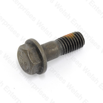 Jaguar Rear Caliper Bolt