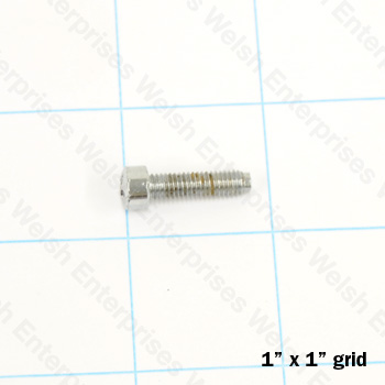 Jaguar Reverse Lamp Screw