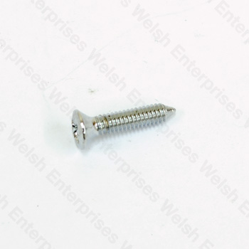 Jaguar E-Type (61-67) Headlight Rim Screw - Phillips