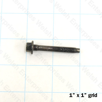Jaguar Timing Chain Bolt - XJ8 XK8 S-Type