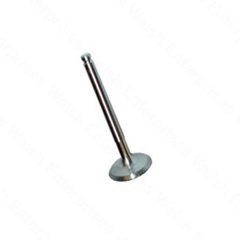 Jaguar Exhaust Valve