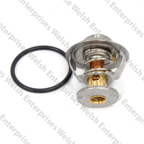 Jaguar Thermostat 
