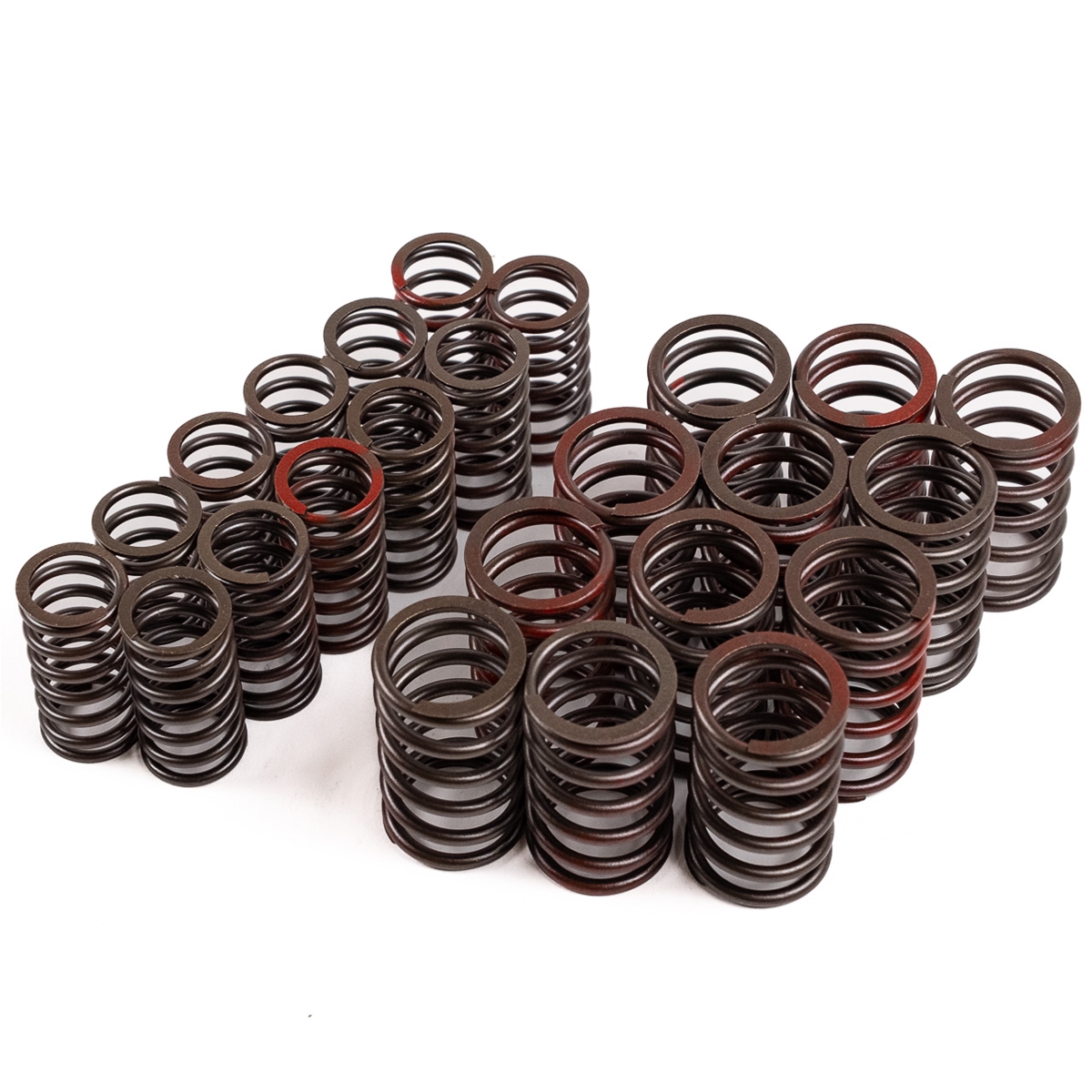 Jaguar Valve Spring Set