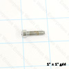 Jaguar Reverse Lamp Screw