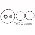 Jaguar Pas Pump Kit E3